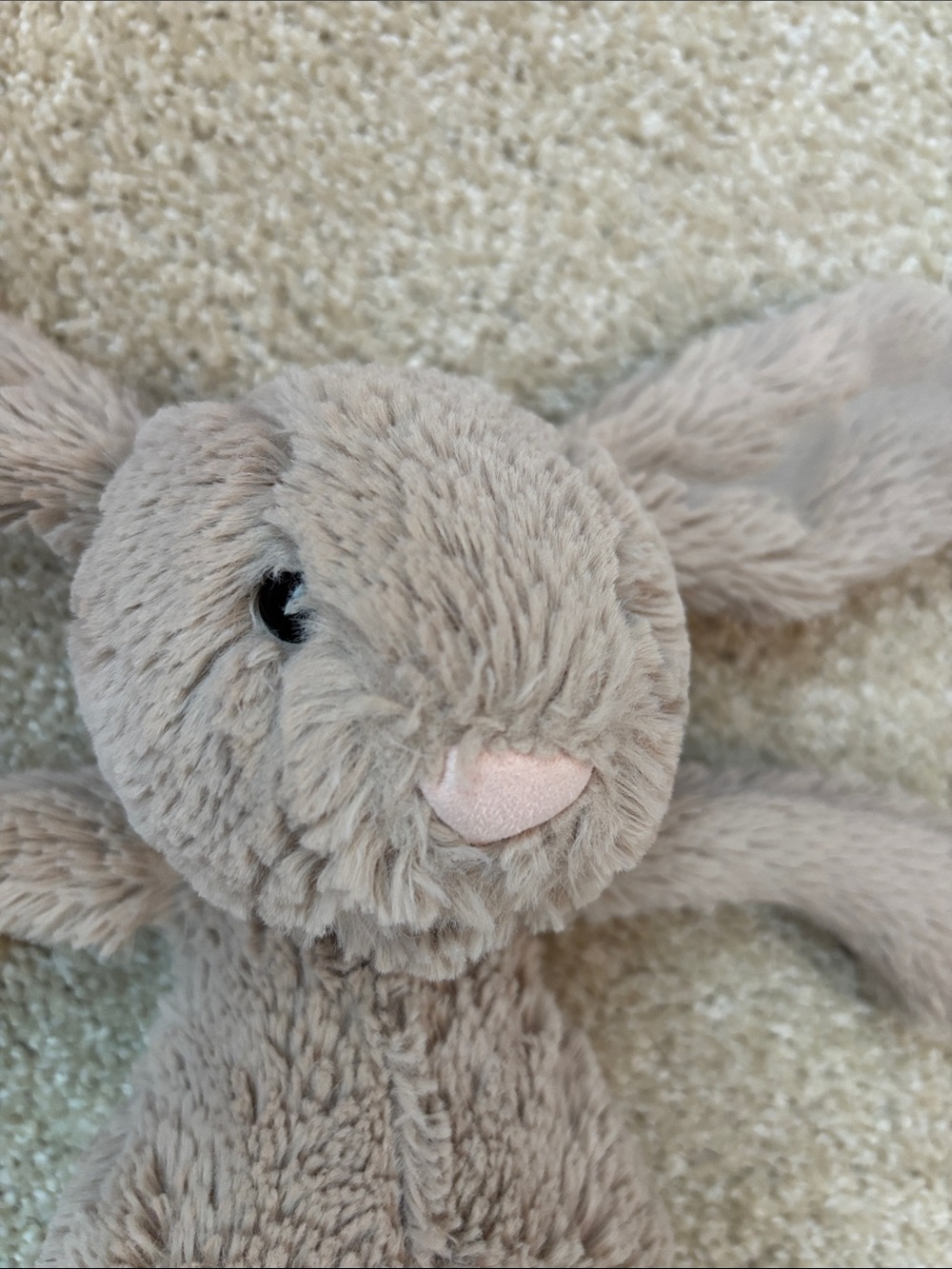 Jellycat Bunny - Picture 4 of 8